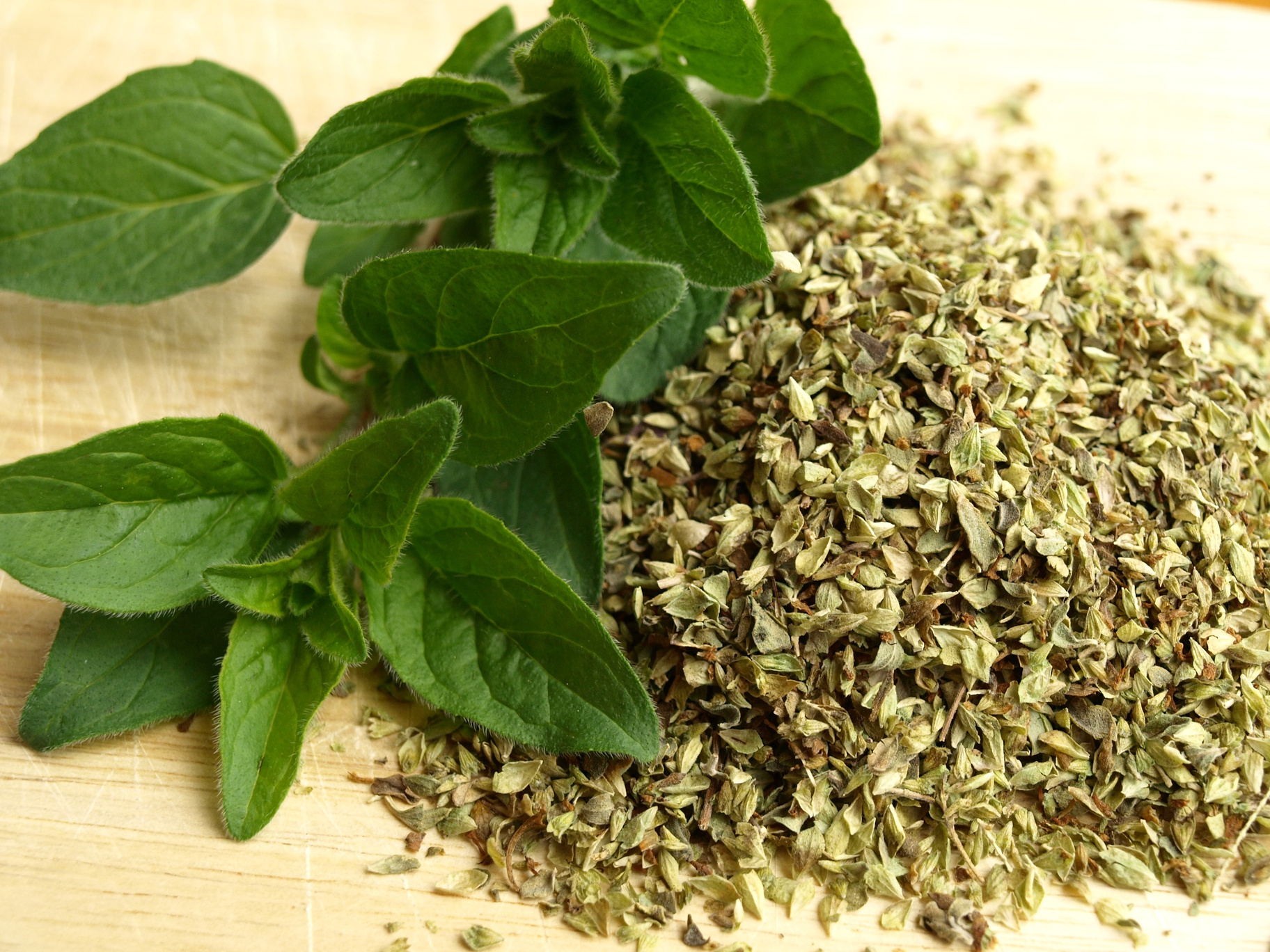 Variety Of Herbs On Plain Background