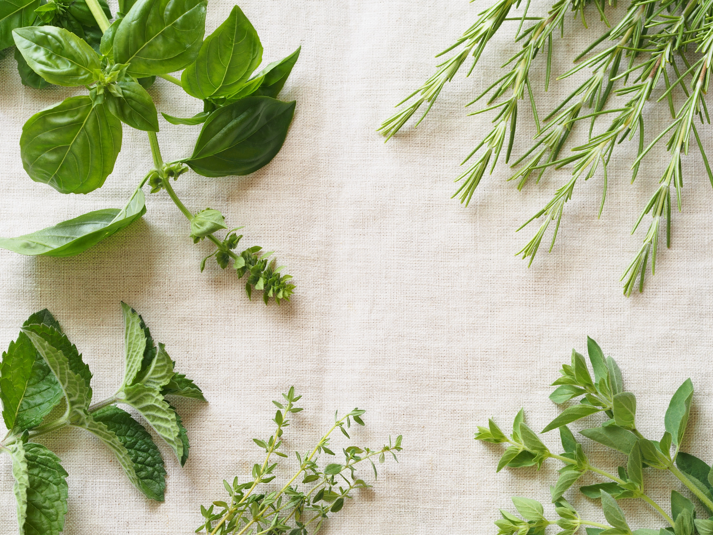 fresh kitchen herbs